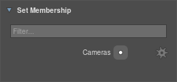 Camera sets in the Scene Inspector
